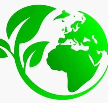 Zero Waste Co - Swap Single-Use Disposables with Reusables: Steps Towards a Greener Tomorrow