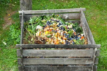 How to dispose of compostable packaging?