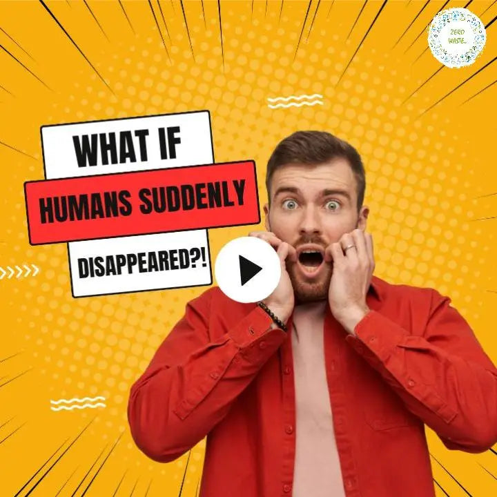 What-if-Humans-No-Longer-Existed Zero Waste Co
