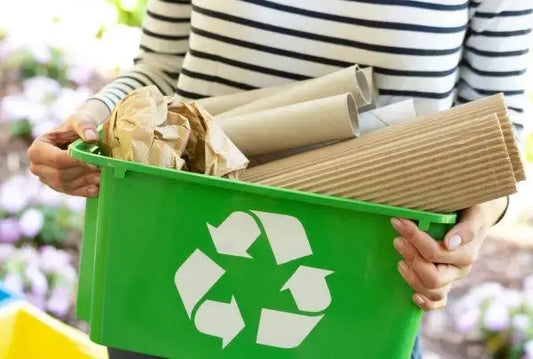 The Truth About Recycling Paper and Cardboard: Is it Environmentally Friendly?