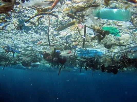 Turning the Tide on Single-Use Plastic Products