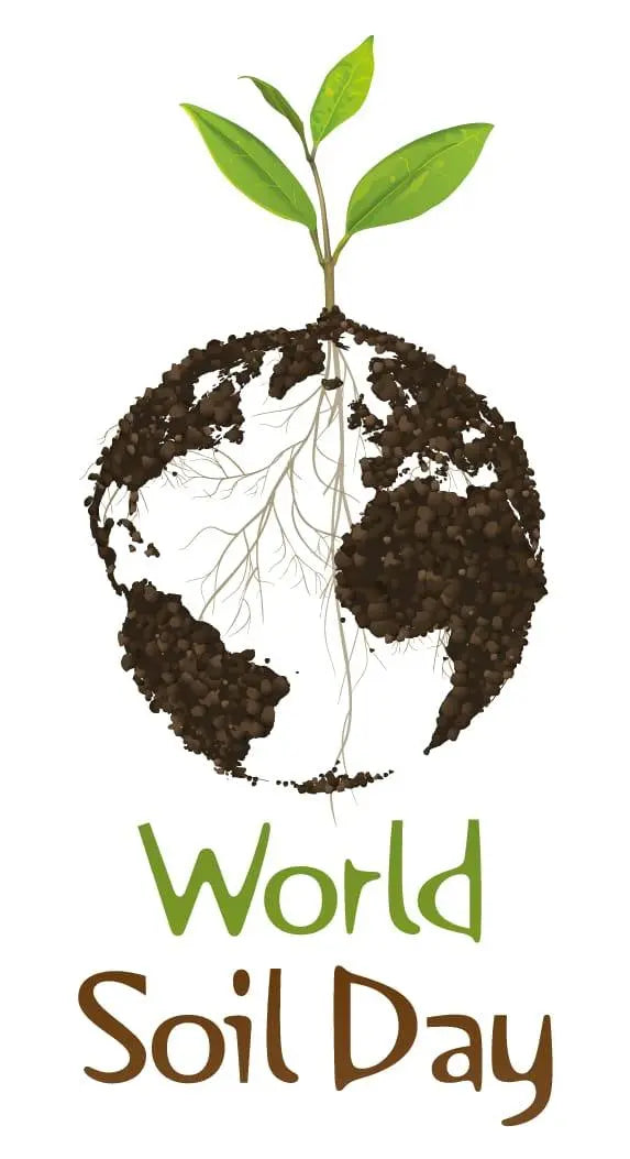 World Soil Day - do you dig it!?