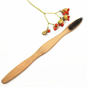 Zero Waste Co - Bamboo toothbrush with infused soft bamboo charcoal bristles and bamboo containers. BPA Free