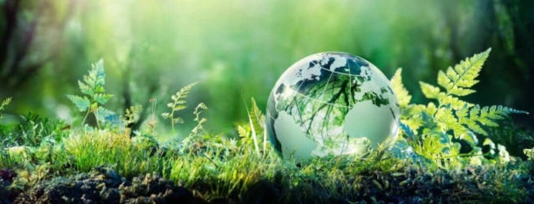 Zero Waste Co - eco-friendly shopping made affordable