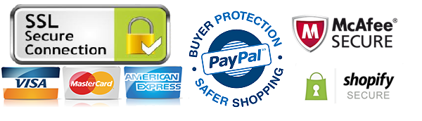 Secure checkout